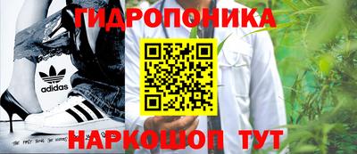 прущие крисы Балаково
